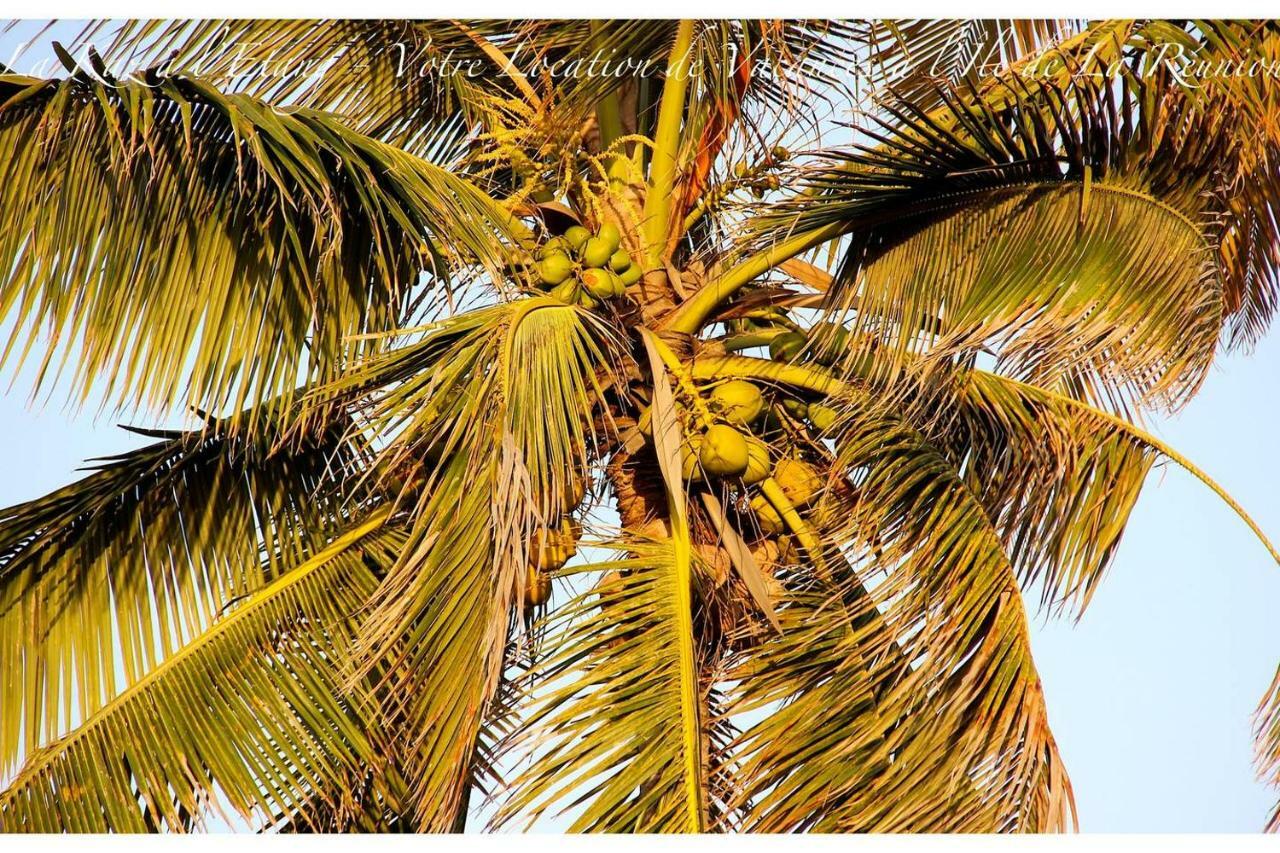 La Kaz A L'Etang - Votre Location De Vacances A L'Ile De La Reunion Saint-Louis Kültér fotó