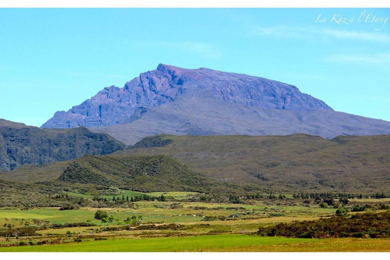La Kaz A L'Etang - Votre Location De Vacances A L'Ile De La Reunion Saint-Louis Kültér fotó