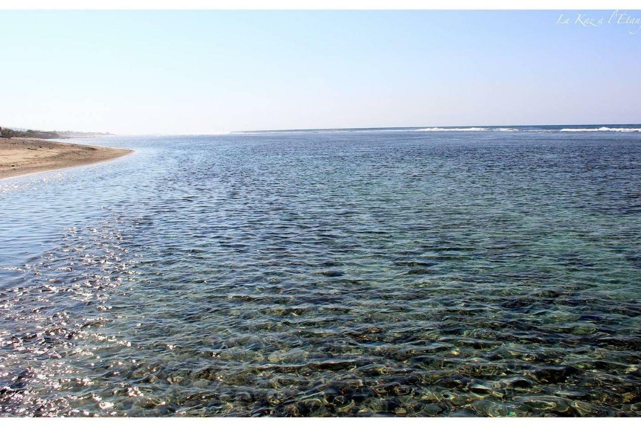 La Kaz A L'Etang - Votre Location De Vacances A L'Ile De La Reunion Saint-Louis Kültér fotó